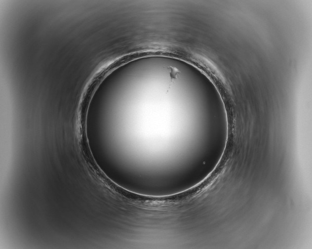 X0000096631172200802051100