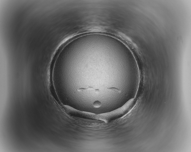 X0000096631174200802051100