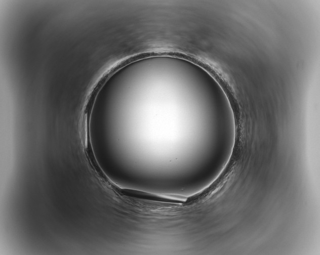 X0000096631175200802051100