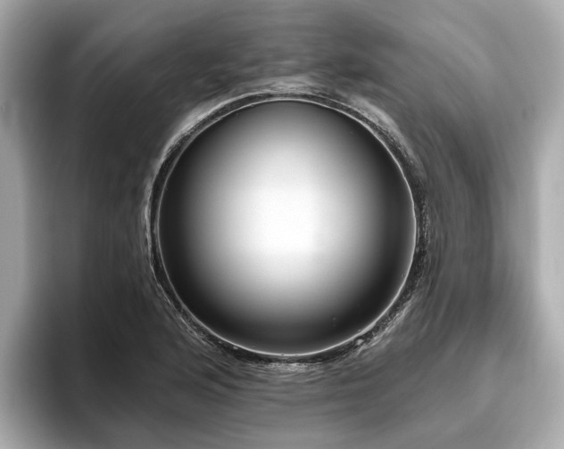 X0000096631176200802051100