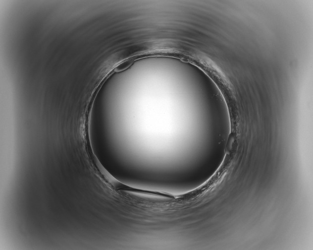 X0000096631177200802051100