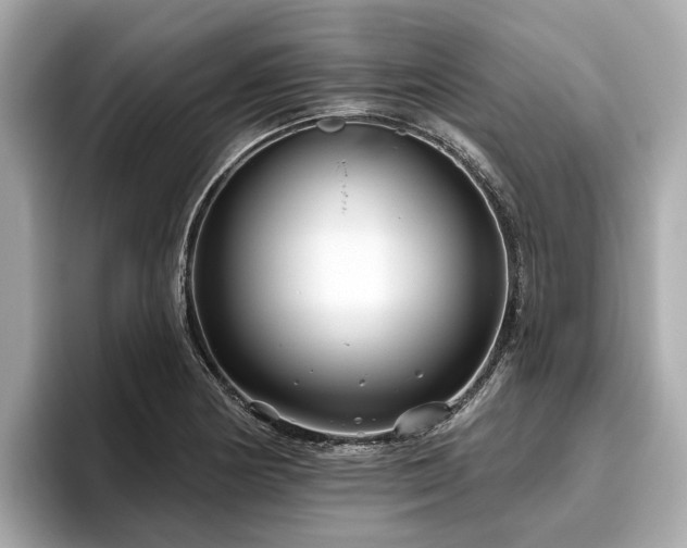 X0000096631178200802051100