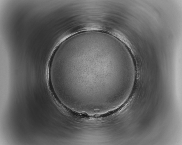 X0000096631179200802051100