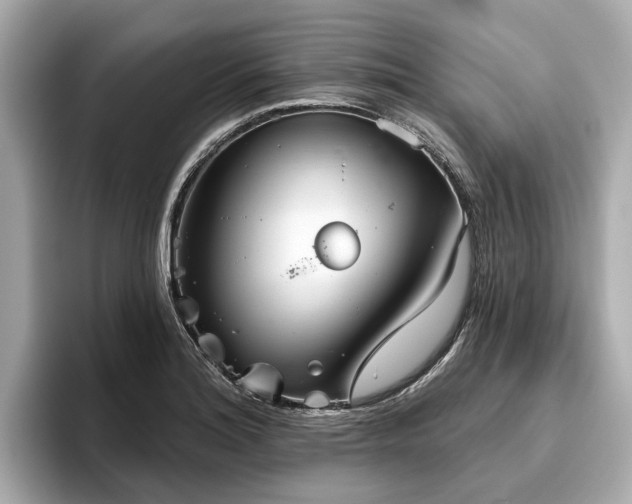 X0000096631180200802051100