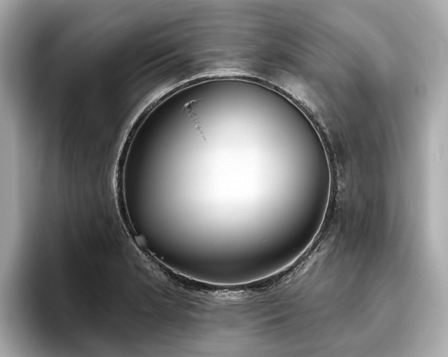 X0000096631181200802051100