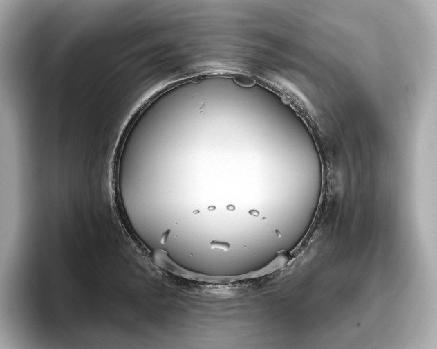 X0000096631182200802051100