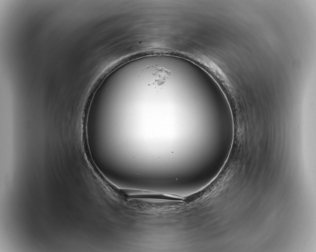 X0000096631183200802051100