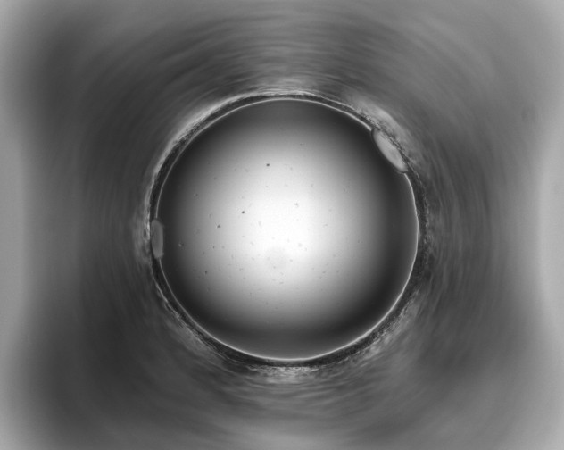 X0000096631184200802051100