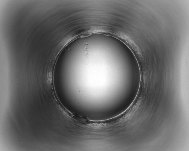 X0000096631185200802051100