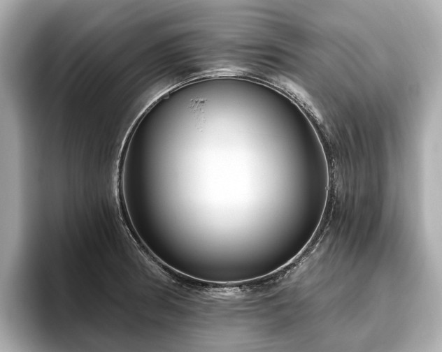 X0000096631186200802051100