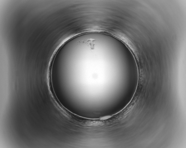 X0000096631187200802051100