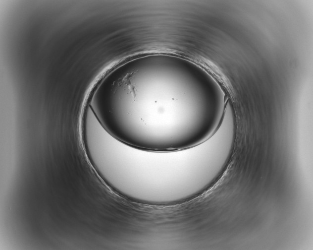 X0000096631188200802051100