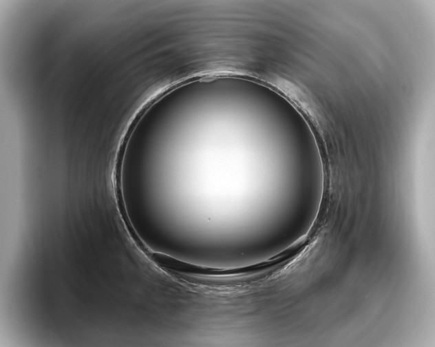 X0000096631189200802051100