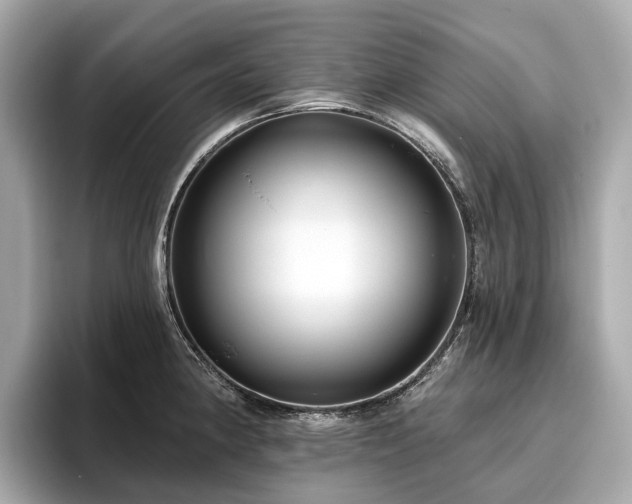 X0000096631190200802051100