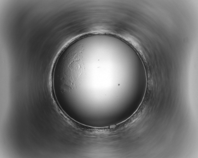 X0000096631191200802051100