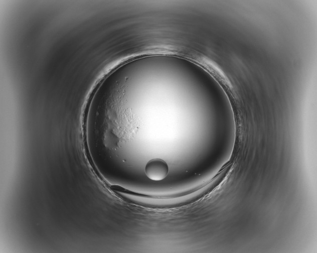 X0000096631192200802051100