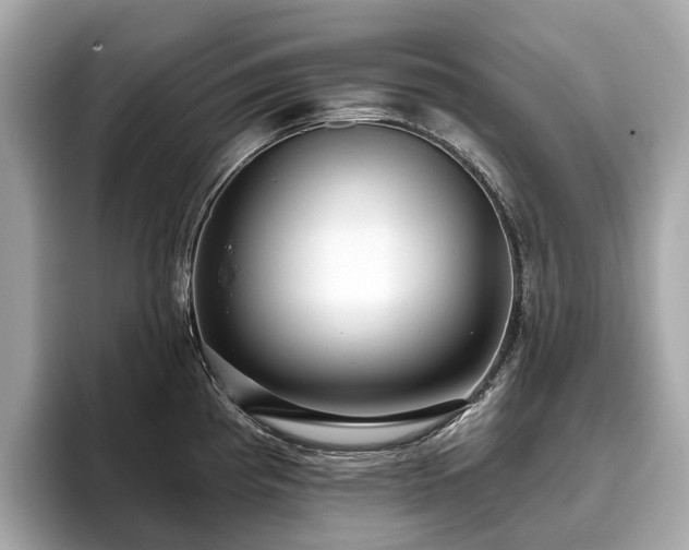 X0000096631193200802051100