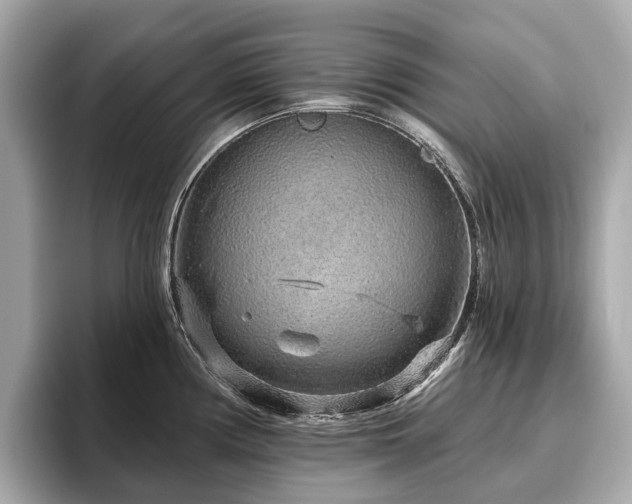 X0000096631194200802051100