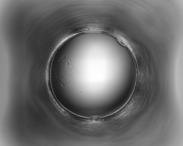 X0000096631195200802051100