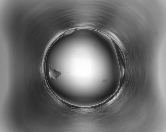X0000096631196200802051100