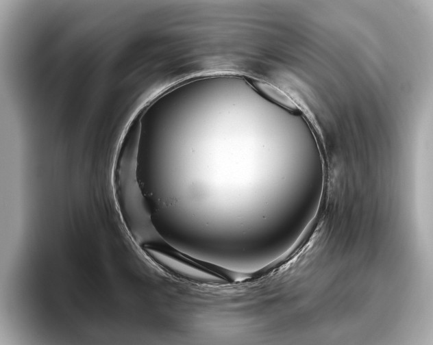 X0000096631197200802051100