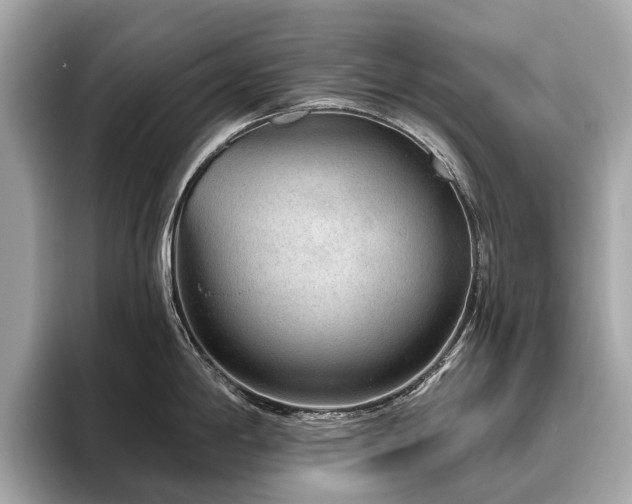X0000096631198200802051100