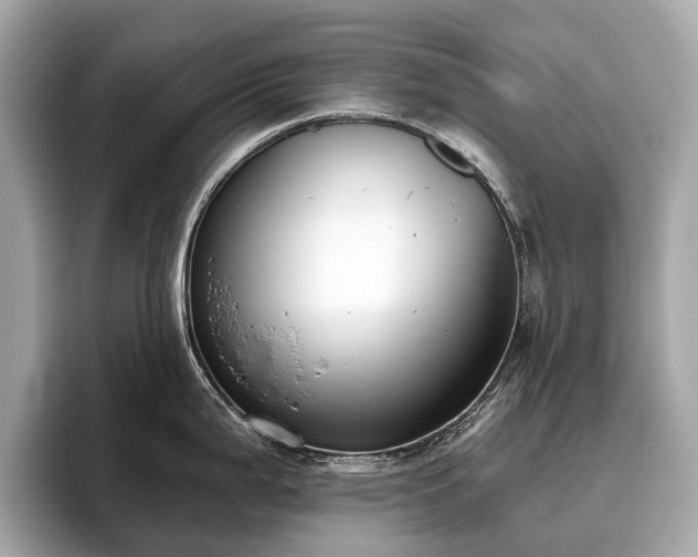 X0000096631199200802051100