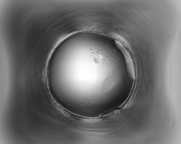 X0000096631200200802051100