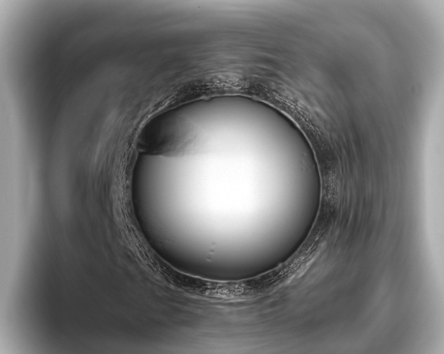 X0000096631201200802051059