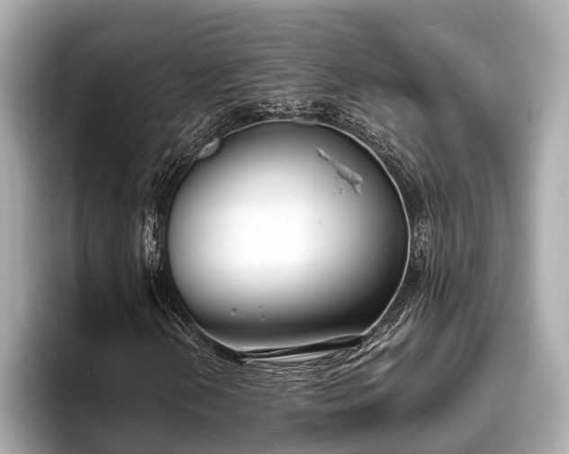 X0000096631202200802051059