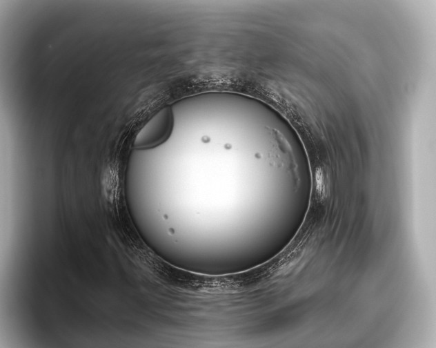 X0000096631203200802051059