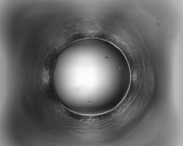 X0000096631204200802051059