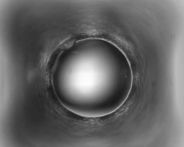 X0000096631205200802051100