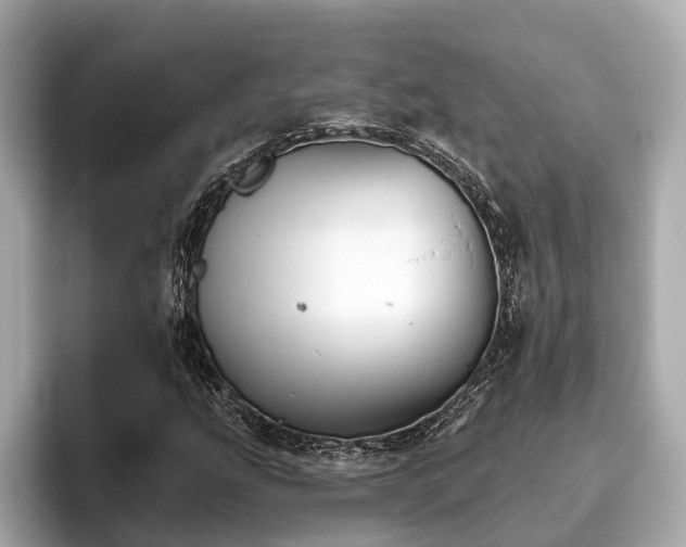 X0000096631207200802051100