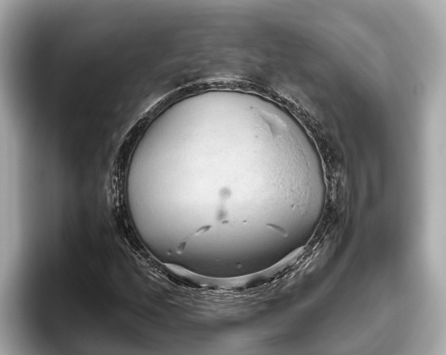X0000096631208200802051100