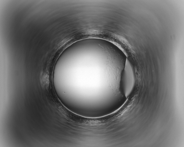 X0000096631209200802051100