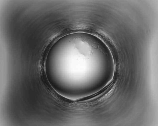 X0000096631210200802051100