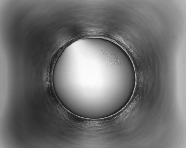 X0000096631211200802051100