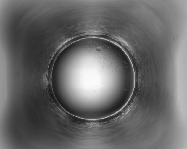 X0000096631212200802051100