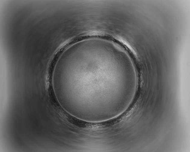 X0000096631213200802051100