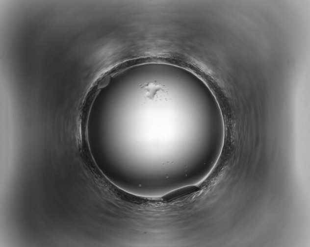 X0000096631214200802051100