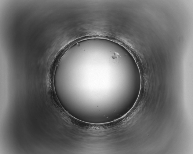 X0000096631215200802051100