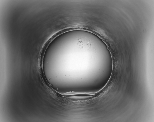 X0000096631216200802051100
