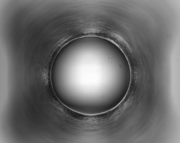 X0000096631217200802051100