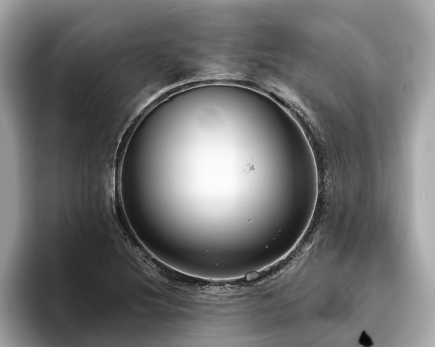 X0000096631220200802051100