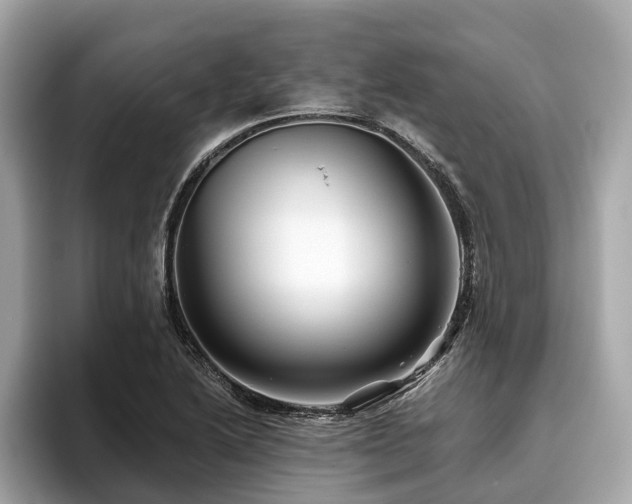 X0000096631222200802051100