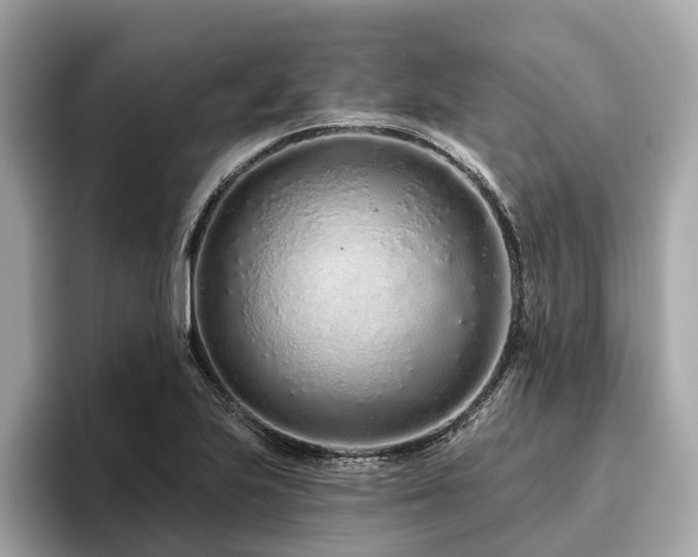 X0000096631223200802051100
