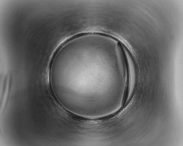 X0000096631224200802051100