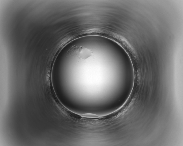 X0000096631225200802051100