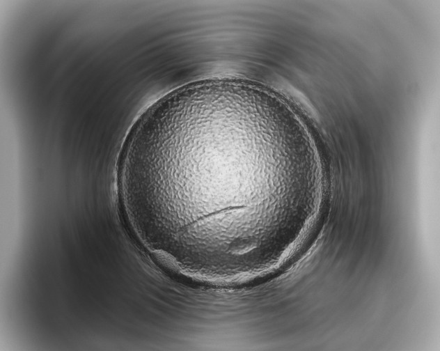 X0000096631226200802051100